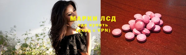 стаф Беломорск