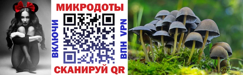 Псилоцибиновые грибы мухоморы  Калининец 