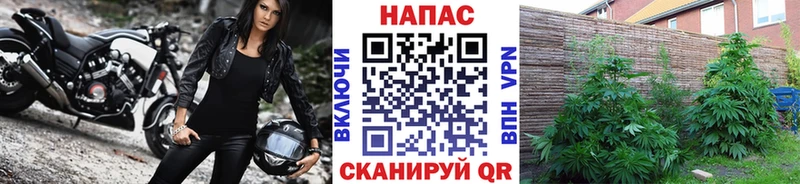Шишки марихуана тримм Калининец